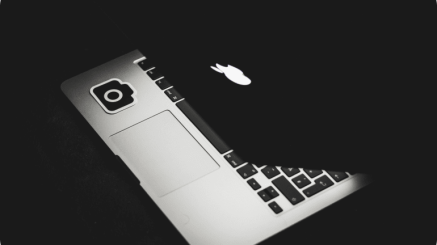 demo-attachment-209-Rectangle-297-2